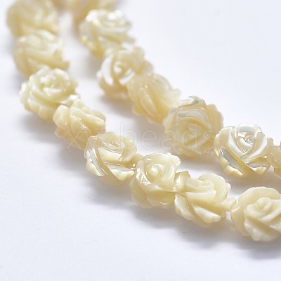 Shell Bead Strands SSHEL-P015-01B-8mm-1