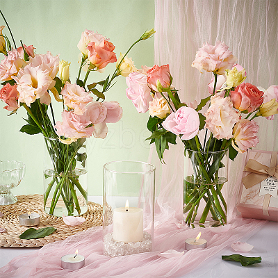 Transparent Glass Hydroponic Vase AJEW-WH0348-441B-1