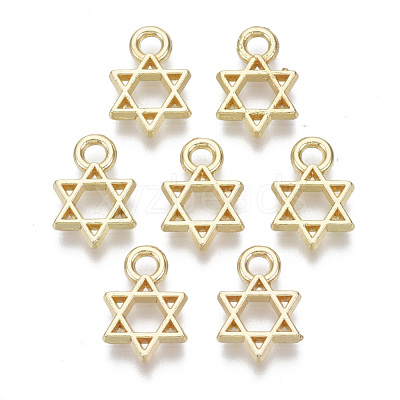 Alloy Charms PALLOY-S132-084-1