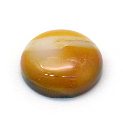 Dyed Natural Striped Agate/Banded Agate Cabochons G-R348-20mm-04-1
