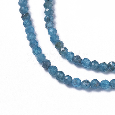 Natural Apatite Beads Strands G-F596-29-2mm-1