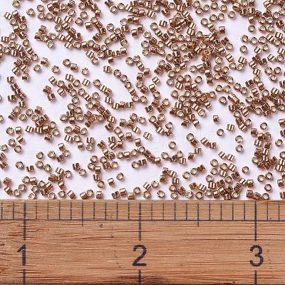 MIYUKI Delica Beads X-SEED-J020-DB1836-1