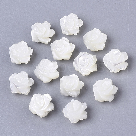 Natural Trochid Shell/Trochus Shell Beads SSHEL-N034-40A-01-1