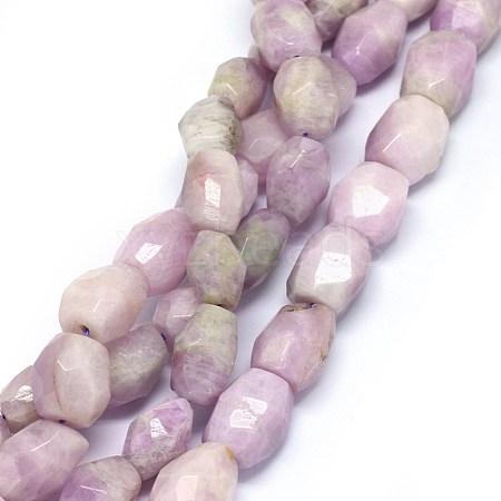 Natural Kunzite Beads Strands G-O173-021A-1