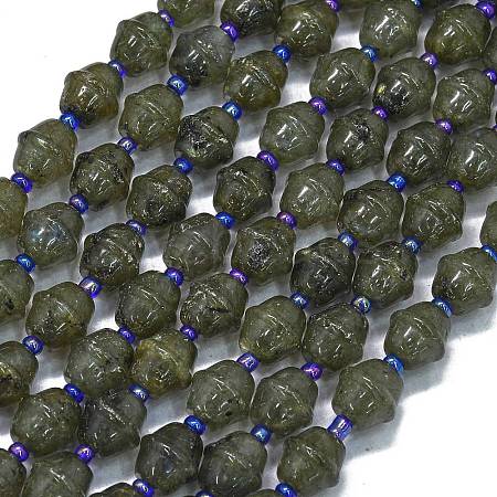 Natural Labradorite Beads Strands G-K389-D24-01-1