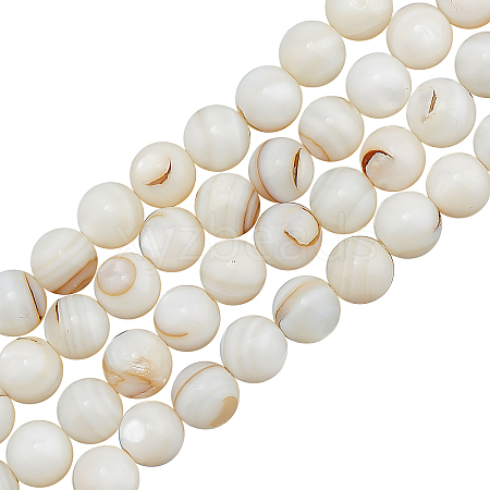 CHGCRAFT 3 Strands Natural Freshwater Shell Beads Strands SHEL-CA0001-007-1