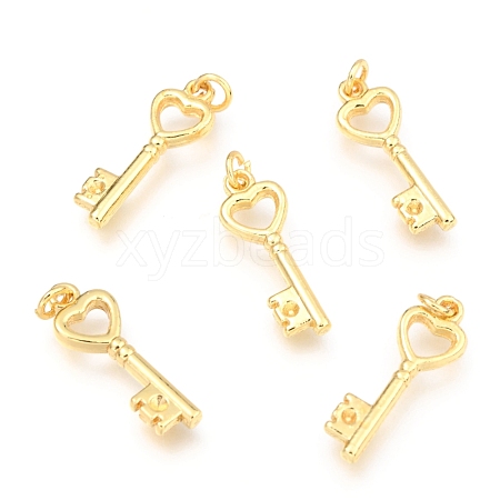 Alloy Pendants PALLOY-B024-05G-1