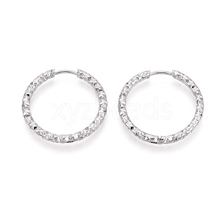 304 Stainless Steel Hoop Earrings STAS-T074-19P-1