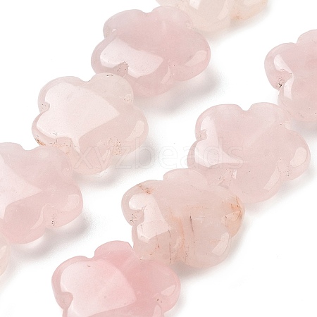 Natural Rose Quartz Beads Strands G-F769-X01-02-1