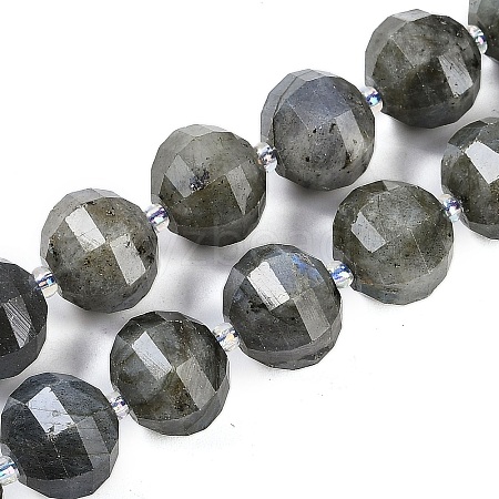 Natural Labradorite Beads Strands G-G182-B02-07-1