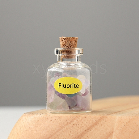 Natural Fluorite Display Decorations DJEW-PW0009-013H-1