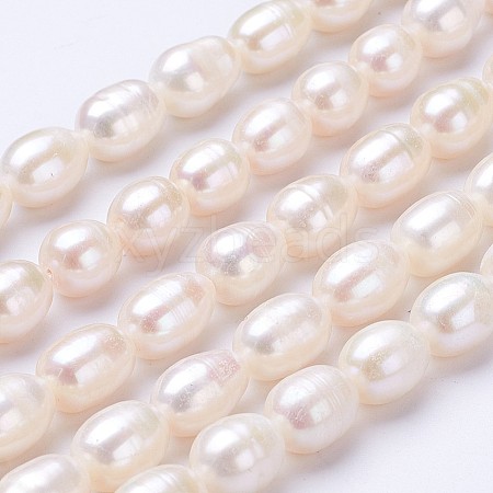 Natural Cultured Freshwater Pearl Beads Strands PEAR-P002-13-01-1