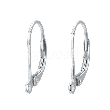 925 Sterling Silver Hoop Earrings STER-P032-06S-1