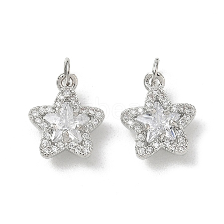 Brass Micro Pave Clear Cubic Zirconia Charms LS-CU-CBA9FFD-07P-1