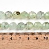 Natural Prehnite Beads Strands G-S345-10mm-28-5