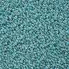12/0 Grade A Round Glass Seed Beads SEED-N001-B-920-2
