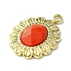 Ion Plating(IP) Real 14K Gold Plated 304 Stainless Steel with Glass Pendant FIND-Z028-30E-2