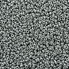 MIYUKI Round Rocailles Beads SEED-G007-RR0194-3