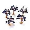 Natural Lapis Lazuli Chips Display Decorations G-Z016-13H-1