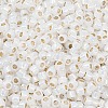 TOHO 8/0 Round Beads SEED-TR08-2100-2