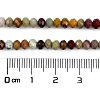 Natural Alashan Agate Beads Strands G-C127-B01-01-4