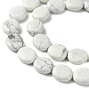 Natural Howlite Beads Strands G-K365-B14-03-4