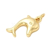 Brass Pendants KK-A266-12A-G-2