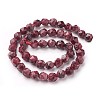 Natural Sesame Jasper/Kiwi Jasper Beads Strands G-F545-C02-3