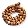 Natural Picture Jasper Beads Strands G-H028-A06-01-3