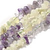 Natural New Jade & Amethyst Beads Strands G-L610-A21-01-1