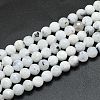 Natural Rainbow Moonstone Beads Strands G-K310-A10-6mm-1