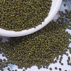 MIYUKI Round Rocailles Beads X-SEED-G010-RR4519-1