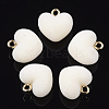 Flocky Acrylic Pendants LS-X1-FIND-T046-28-08-1