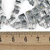 Spray Painted Glass Seed Beads SEED-A034-01G-4