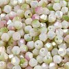 Baking Painted Glass Seed Beads SEED-C004-03B-3