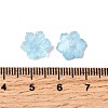 Glass Beads GLAA-D303-04-3