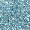 Glass Seed Beads SEED-L011-05B-07-3