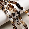 Natural Black Agate Bead Strands G-P070-34-6