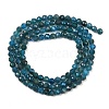 Natural Apatite Beads Strands G-E411-36-3mm-02-3