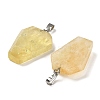 Natural Mixed Stone Pendants G-G004-06B-M02-3