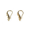 Brass Earring Hooks KK-N233-380-4