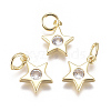 Brass Micro Pave Cubic Zirconia Charms ZIRC-F111-09G-08-1