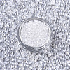 Transparent Glass Beads SEED-S040-08A-11-2