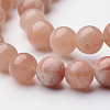 Natural Sunstone Round Bead Strands X-G-F262-01-1