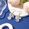 Natural Quartz Crystal & Opalite Dangle Earrings EJEW-JE05986-2