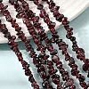 Natural Garnet Beads Strands G-P406-55-5