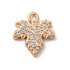 Brass Micro Pave Cubic Zirconia Charms KK-C062-046G-02-1