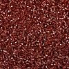 MIYUKI Delica Beads X-SEED-J020-DB2152-3