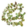 Natural Chrysoprase Beads Strands GG-CBA3D9B-14A-3