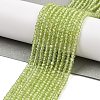 Natural Peridot Beads Strands G-K376-B07-01-2